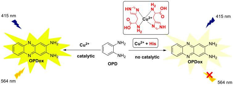 Scheme 14