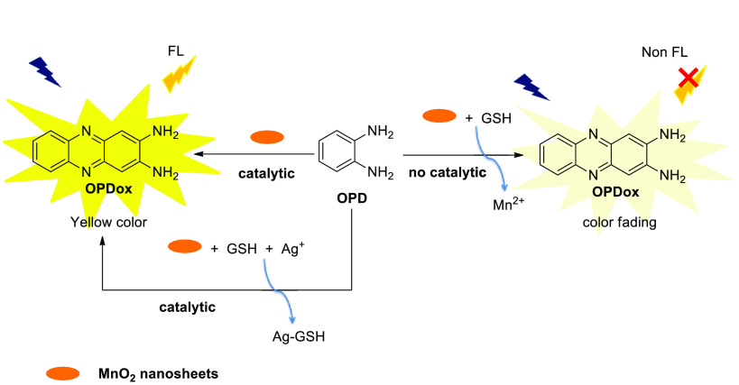 Scheme 10