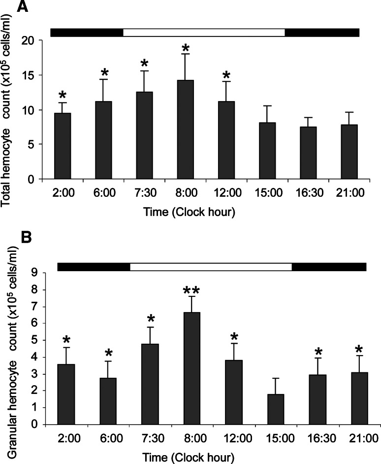 Fig. 3