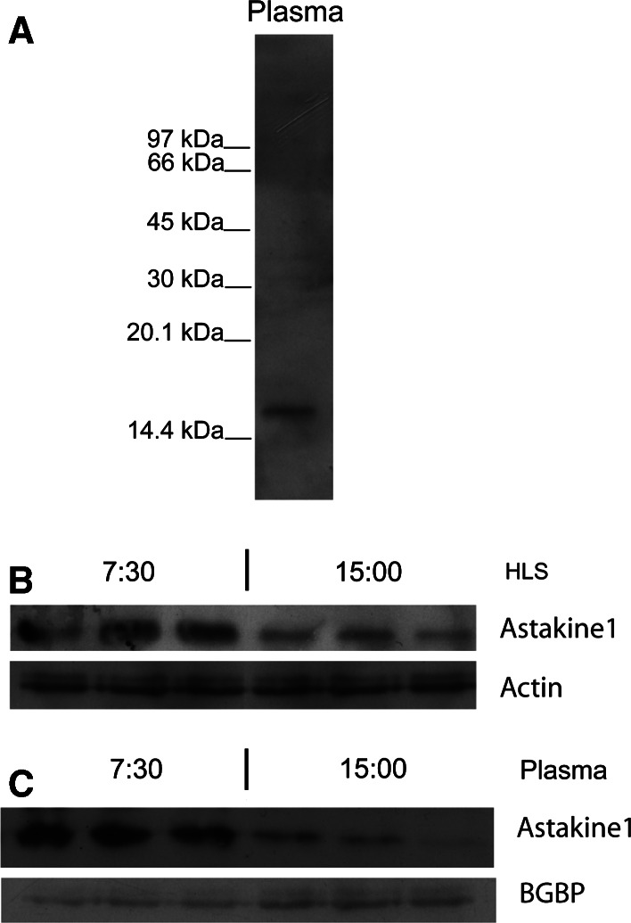 Fig. 4