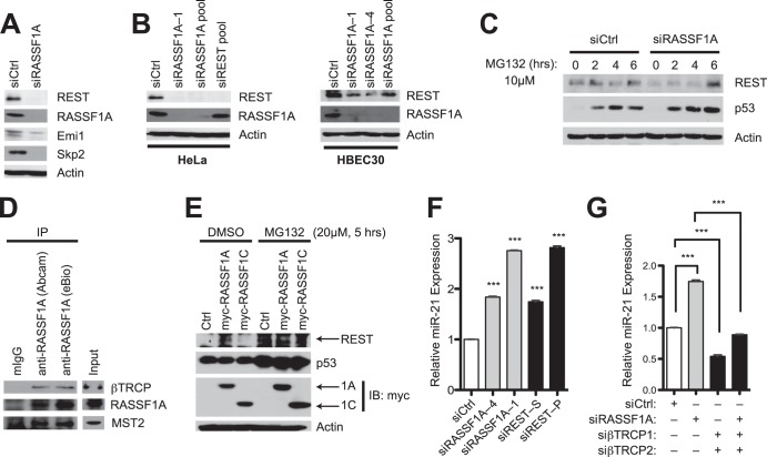 FIG 1