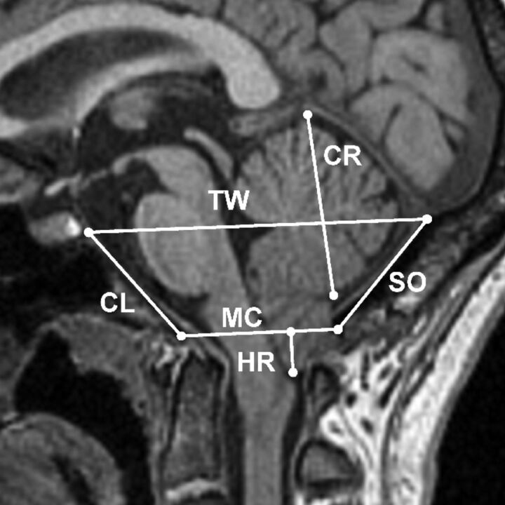 Fig 1.