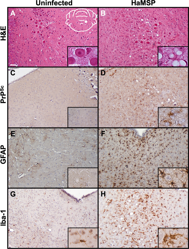 Fig 5