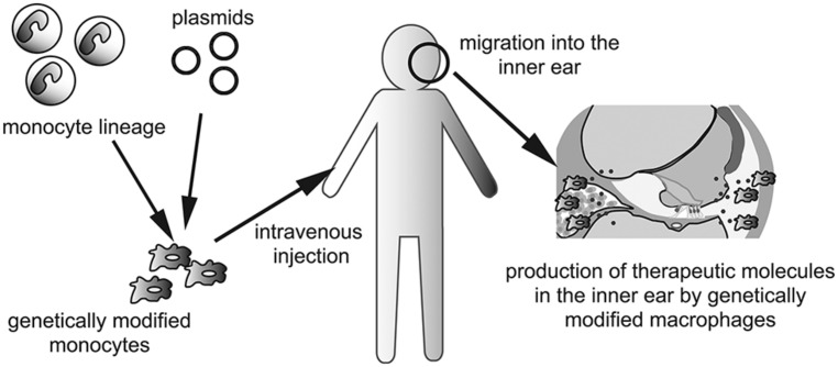 FIGURE 2