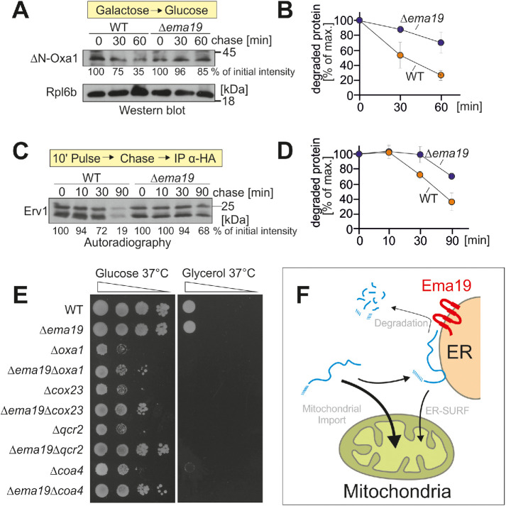 FIGURE 6: