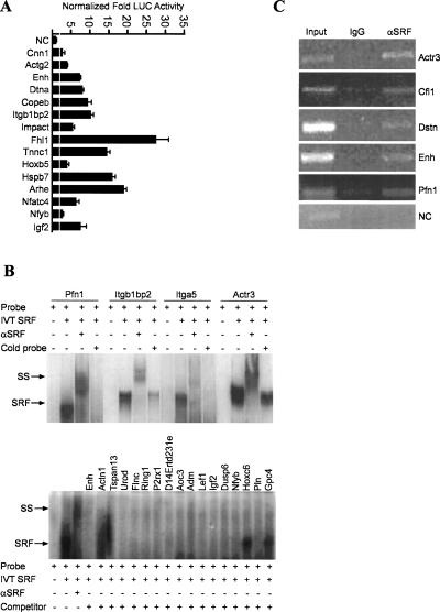 Figure 3.