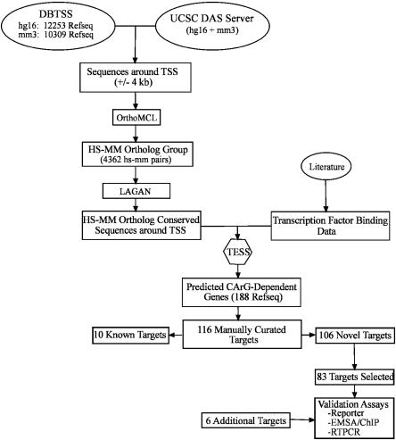 Figure 1.