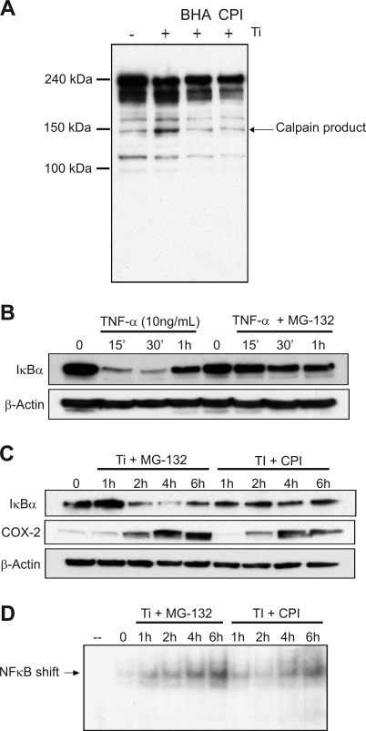 Fig. 9.