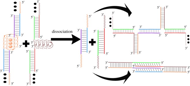 Figure 5.