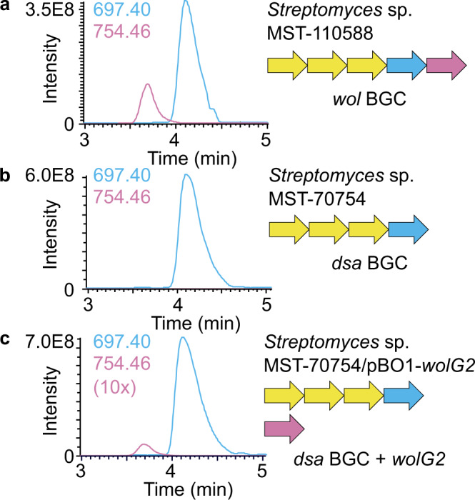 Fig. 3