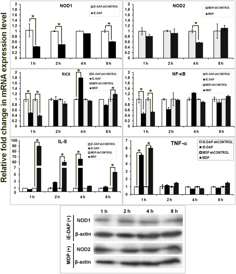 Fig 6