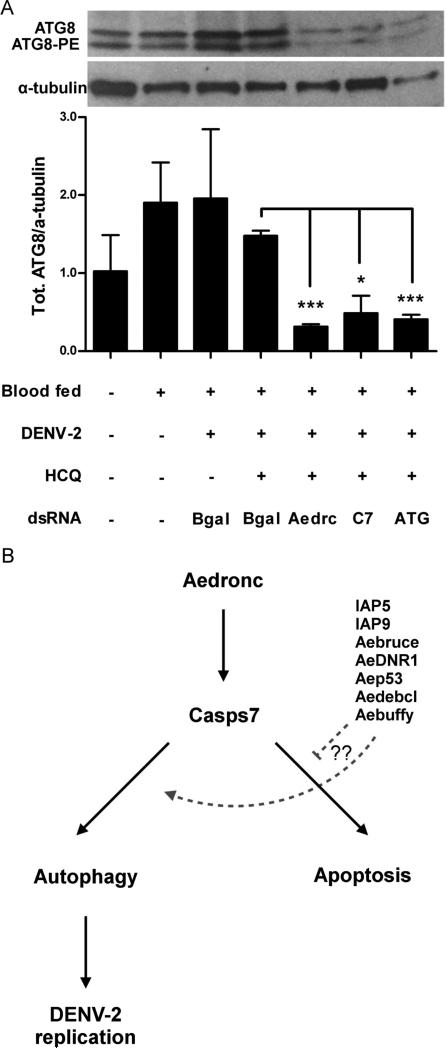 Fig 9