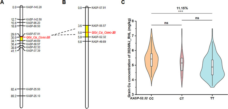 Fig. 4