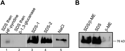 FIG 3 