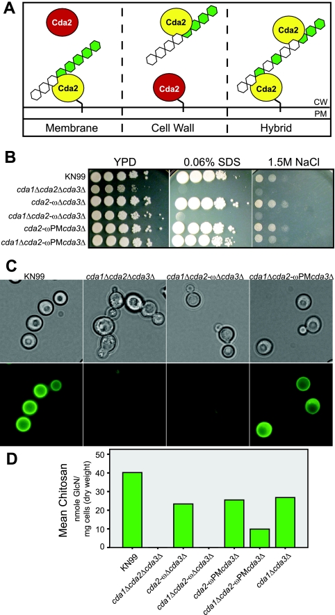 FIG 6 