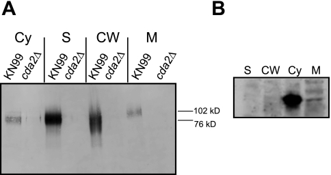 FIG 1 