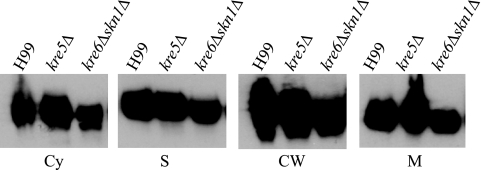 FIG 2 