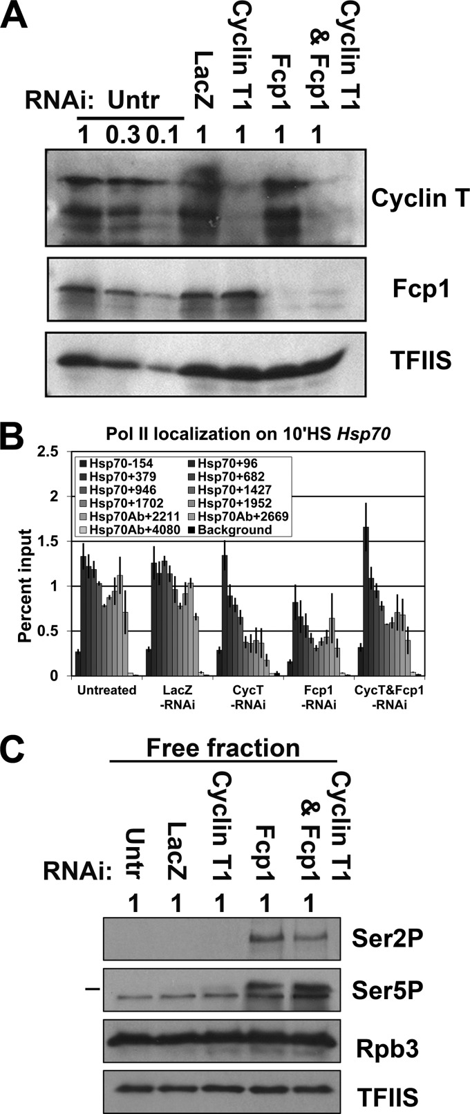 Fig 5