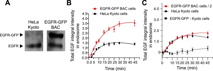 Figure 1—figure supplement 3.