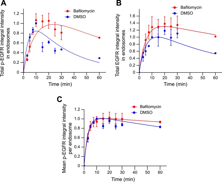 Figure 4—figure supplement 3.