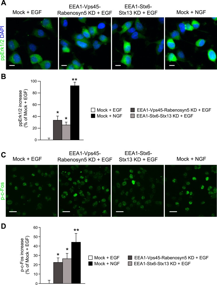 Figure 7—figure supplement 2.