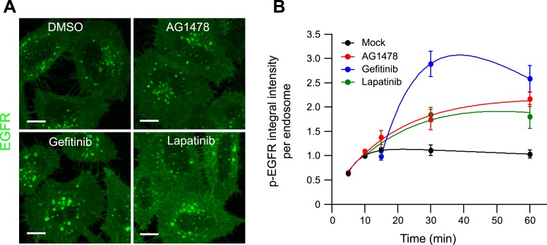 Figure 2—figure supplement 7.