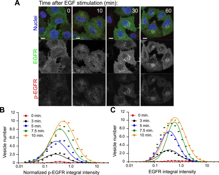 Figure 1—figure supplement 2.