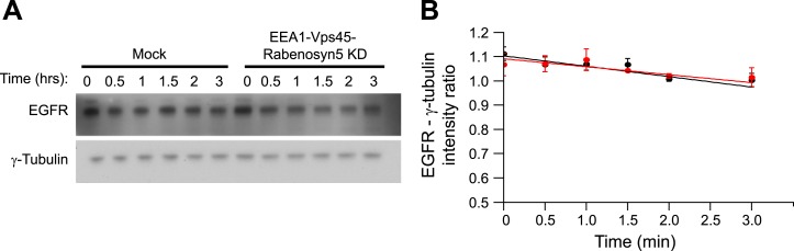 Figure 4—figure supplement 2.