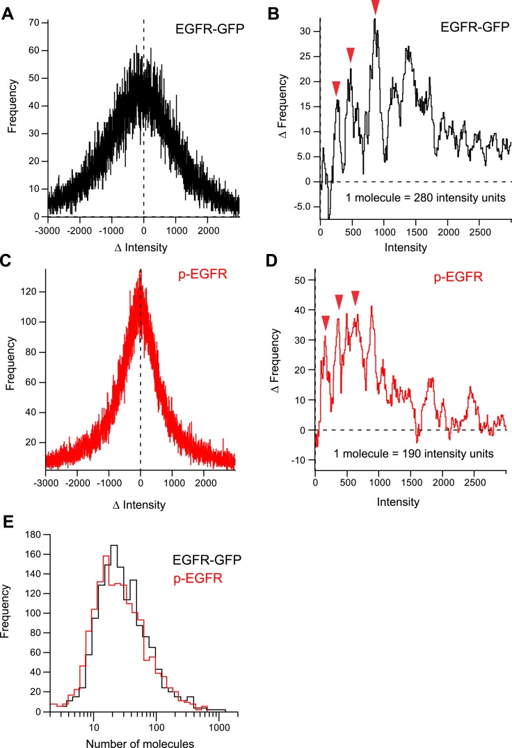 Figure 2—figure supplement 3.