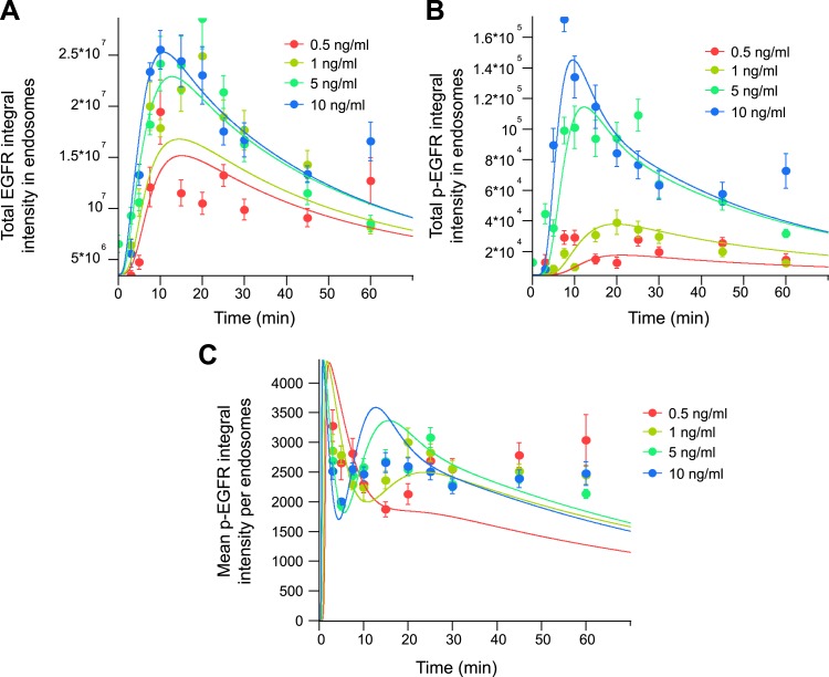 Figure 3—figure supplement 1.