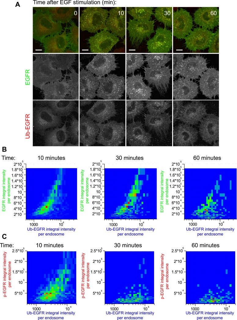 Figure 2—figure supplement 2.