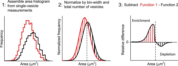 Figure 6—figure supplement 2.