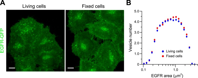 Figure 1—figure supplement 5.