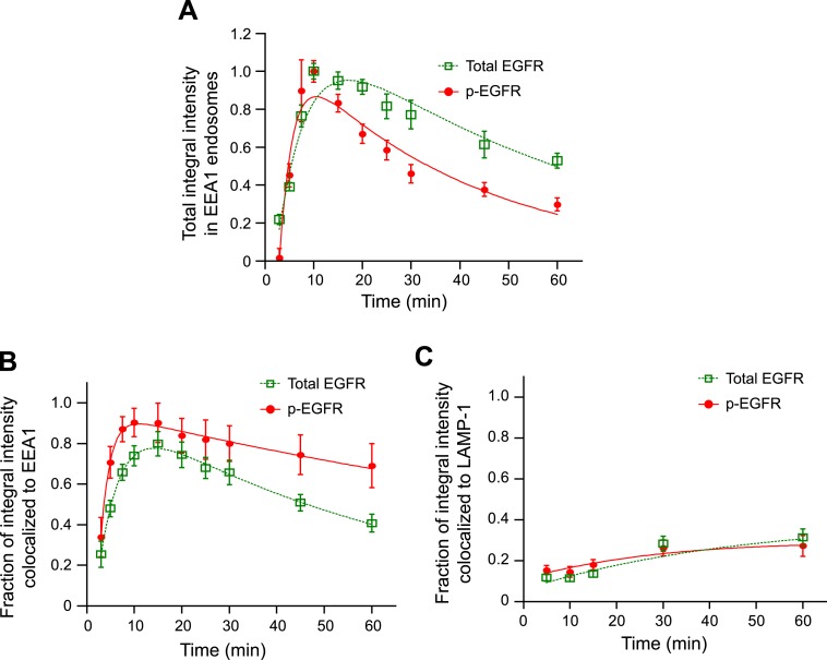 Figure 2—figure supplement 1.