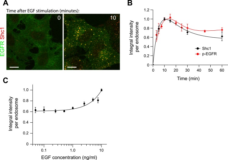 Figure 2—figure supplement 5.