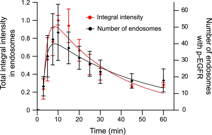 Figure 1—figure supplement 6.