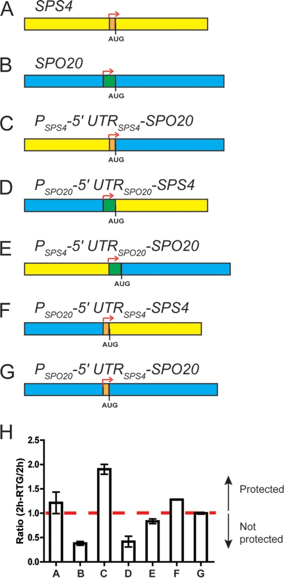 FIG 4