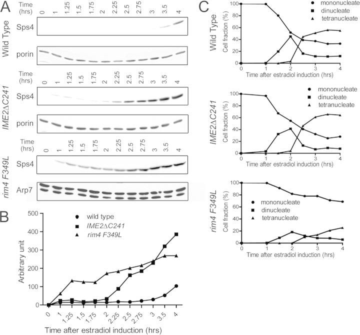 FIG 2