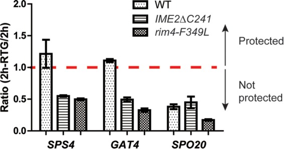 FIG 3