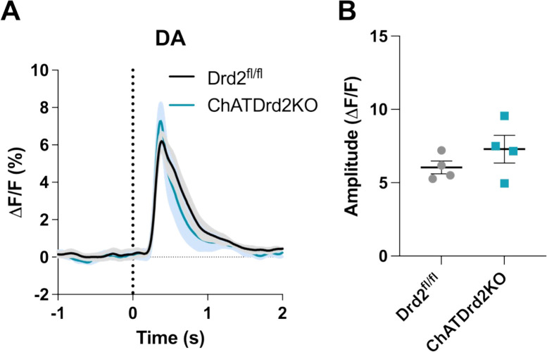 Figure 7—figure supplement 1.