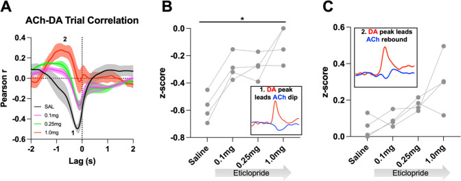 Figure 9—figure supplement 1.