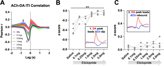 Figure 9—figure supplement 2.