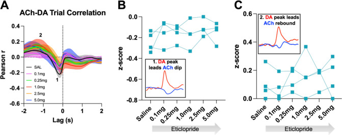 Figure 9—figure supplement 3.