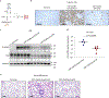 Fig. 6 |