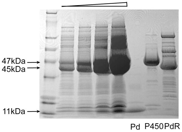 Fig. 2