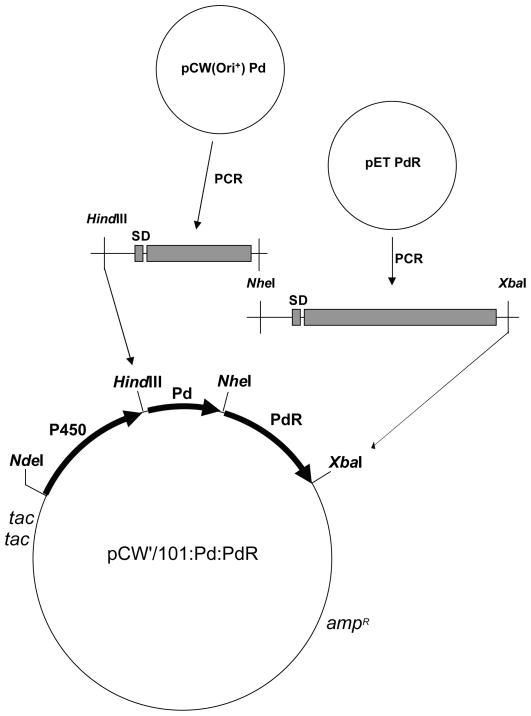 Fig. 1