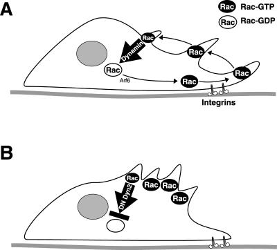 Figure 10.