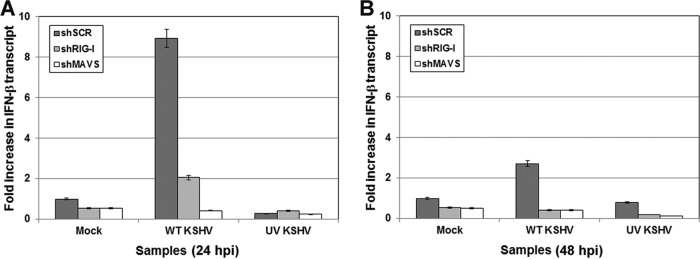 FIG 4