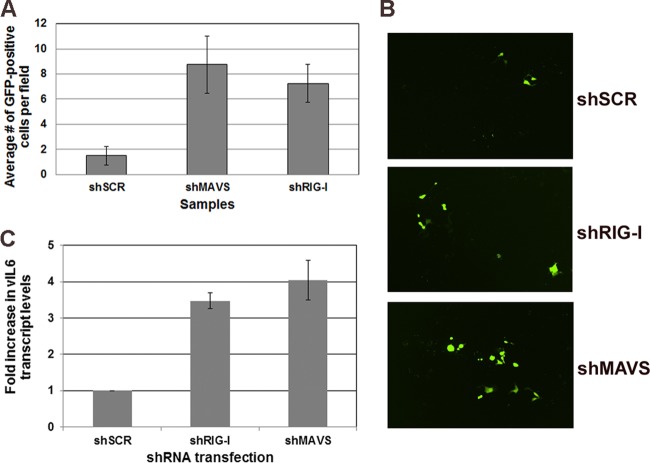 FIG 6