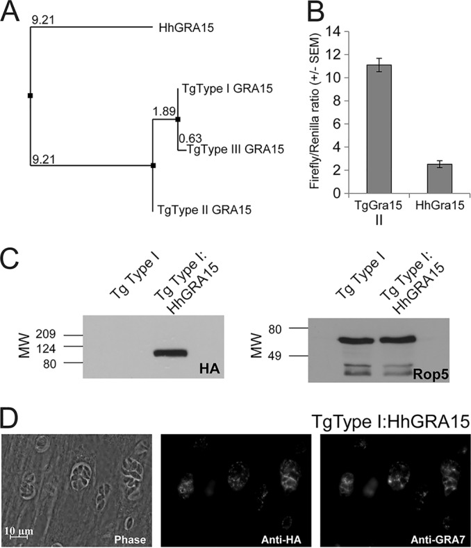 FIG 1